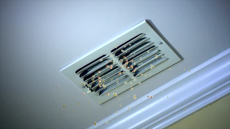 Best HVAC Air Duct Cleaning  in Skidway Lake, MI